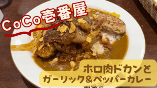 ホロ肉ガーリック＆ペッパーカレー Level2